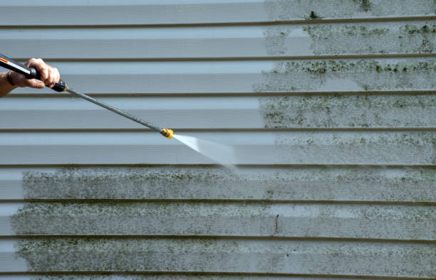 Best Driveway Pressure Washing  in Riverdale Park, MD